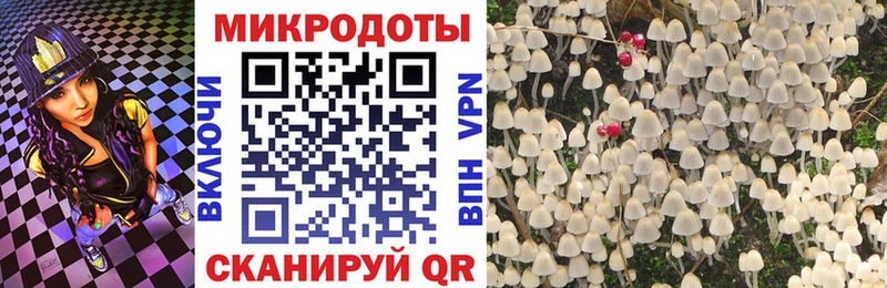 Псилоцибиновые грибы мухоморы  Северск 